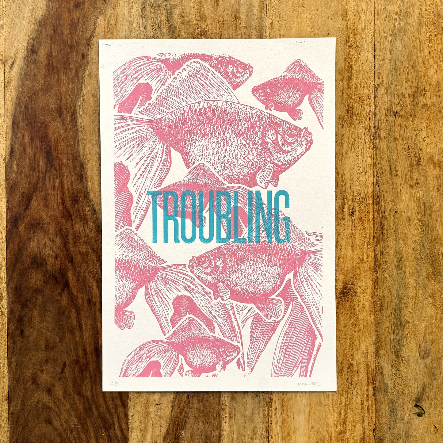 A Troubling of Goldfish Screenprint