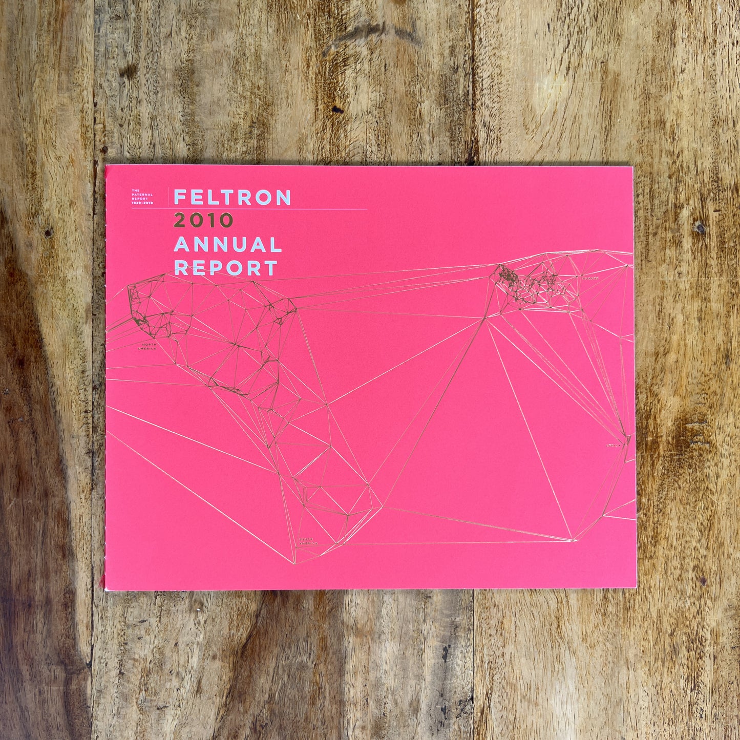 Feltron Annual Report 2010